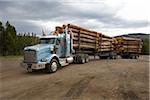 Camion grumier