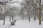 Stadtpark in den Schnee, Embankment Gardens, Nottingham.