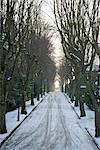 Suburban street in late winter afternoon, Nottingham.