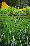 Detail of edge of upper decked level of Quinlan patio garden in North London. Designed by Modular, with profile of owners' vintage modern lounger. Grass in planters on lower level. Bamboo against rear wall. Horizontal bed with low-growing perennials. Architects: Modular