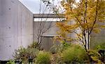 Trees and shrubs in garden with concrete wall