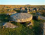 Merrivale Bronze Age Village. Circular stone edge-runner.