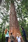 Family standing together at base of tall tree, rear view