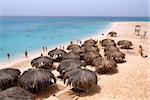 Mahmya Island près de Hurghada, Red Sea, Egypt, Maghreb, Afrique