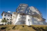 The Cleveland Clinic, Lou Ruvo Center for Brain Health, Frank Gehry architect, Las Vegas, Nevada, United States of America, North America