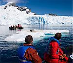 Tourists watch a basking leopard seal from Zodiacs, Cuverville Island, Antarctic Peninsula, Antarctica, Polar Regions