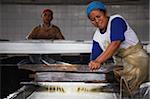 Rubber making process, Kalitakir Plantation, Kalibaru, Java, Indonesia, Southeast Asia, Asia