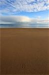 Barafundle Bay, Pembrokeshire, Wales, United Kingdom, Europe