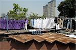 Laundrymen (dhobi wallah), sorting laundry by colour on corrugated iron roofs, Mahalaxmi dhobi ghats, Mumbai, India, Asia