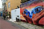 Murals, Balmy Alley, Mission District, Mission, San Francisco, California, United States of America, North America