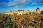 Cité médiévale de Carcassonne, patrimoine mondial de l'UNESCO, Aude, Languedoc-Roussillon, France, Europe