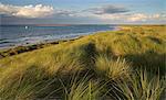 La vue vers Sorret Head Island et l'entrée du port Brancaster Brancaster plage, Norfolk, Angleterre, Royaume-Uni, Europe