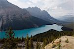 Les couleurs turquoise magnifique de Peyto Lake, Banff National Park, patrimoine mondial de l'UNESCO, Alberta, Rocky Mountains, Canada, Amérique du Nord