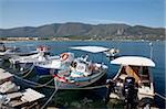 Fishing boats in the harbour, Alykanas, Zakynthos, Ionian Islands, Greek Islands, Greece, Europe