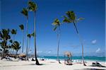 Bavaro Beach, Punta Cana, Dominikanische Republik, Karibik, Karibik, Mittelamerika