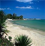 View along beach to the medina from the Sindbad Hotel, Hammamet, Cap Bon, Tunisia, North Africa, Africa