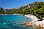 Platja Formentor, in der Nähe von Port de Pollenca (Puerto Pollensa), Mallorca (Mallorca), Balearen, Spanien, Mediterranean, Europa