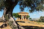 Tempio di Concordia (Concord), Valle dei Templi, patrimoine mondial de l'UNESCO, Agrigento, Sicile, Italie, Europe