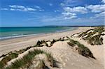 Carrossage roue de sable et dunes de sable, Camber, East Sussex, Angleterre, Royaume-Uni, Europe