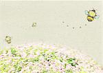 Flower fields and bees