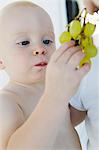 Baby Boy holding a Bunch of grapes