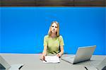 Businesswoman in a conference room