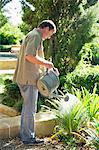 Side profile of a mature man watering plants in a garden