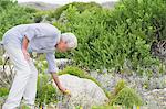 Senior Man pflücken Blumen in einem Garten