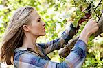 Young woman pruning plants