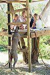 Children playing in tree house and a dog leaning on ladder