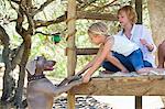 Enfants jouant avec un chien dans la maison de l'arbre