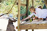 Boy feeding a dog from tree house