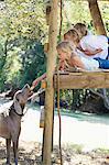 Children feeding a dog from tree house