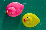 2 Gummienten, close-up