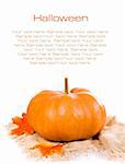 Pumpkins and maples  over white background with copyspace