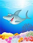 Shark cartoon illustration