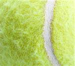 Tennis Ball the texture, background