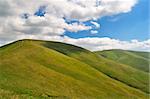 Mountain meadows in Carpathians