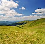 Green grass and young bilberries under blue sky and white clouds in Carpathians