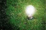 Light bulb glowing in the grass at night