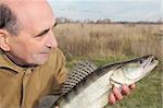 old fisherman and his catch - zander