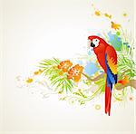 vector summer background with ornament and parrot