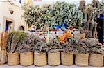 Herbal Market in Essaouira, Morocco, North Africa