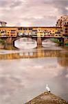 Lone seagull in Florence with Ponte Vecchio in background