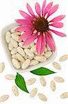 Echinacea purpurea extract pills, alternative medicine concept