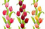 Vertical seamless patterns made of tulips on white background