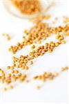 scattered mustard seeds over white background macro