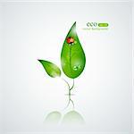 Vector eco design background