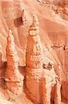 Hoodoo's (strange rock formations created by erosion) in Bryce Canyon National park, Utah
