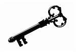 key silhouette on white background, vector illustration